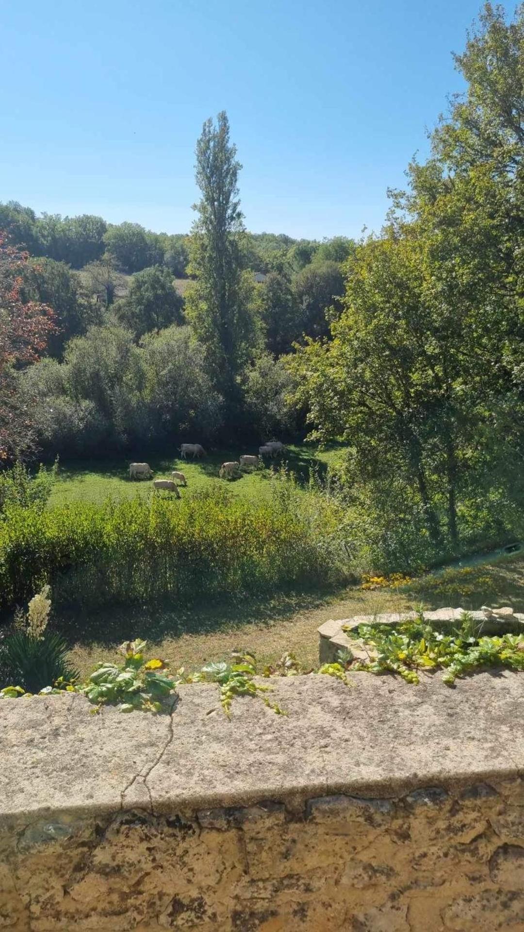 הוילה Saint-Marcel-du-Périgord Le Manoir De St Marcel חדר תמונה